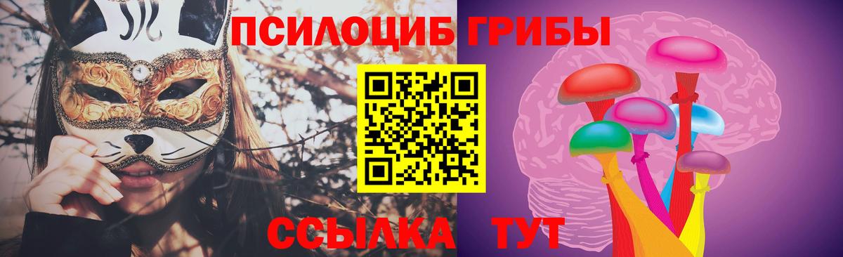 Калач-на-Дону  Галлюциногенные грибы прущие грибы  Вход с VPN  Псилоцибиновые грибы MAGIC MUSHROOMS 